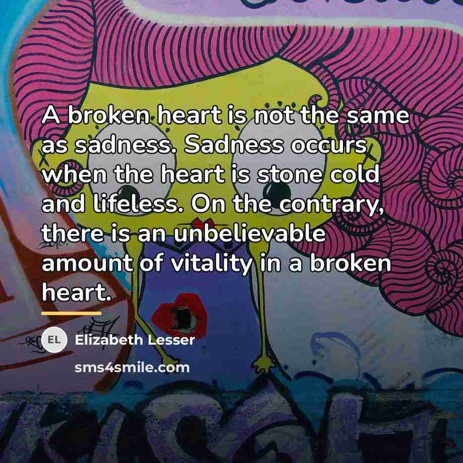 “A broken heart is not the same as sadness. Sadness…” quote by Elizabeth Lesser