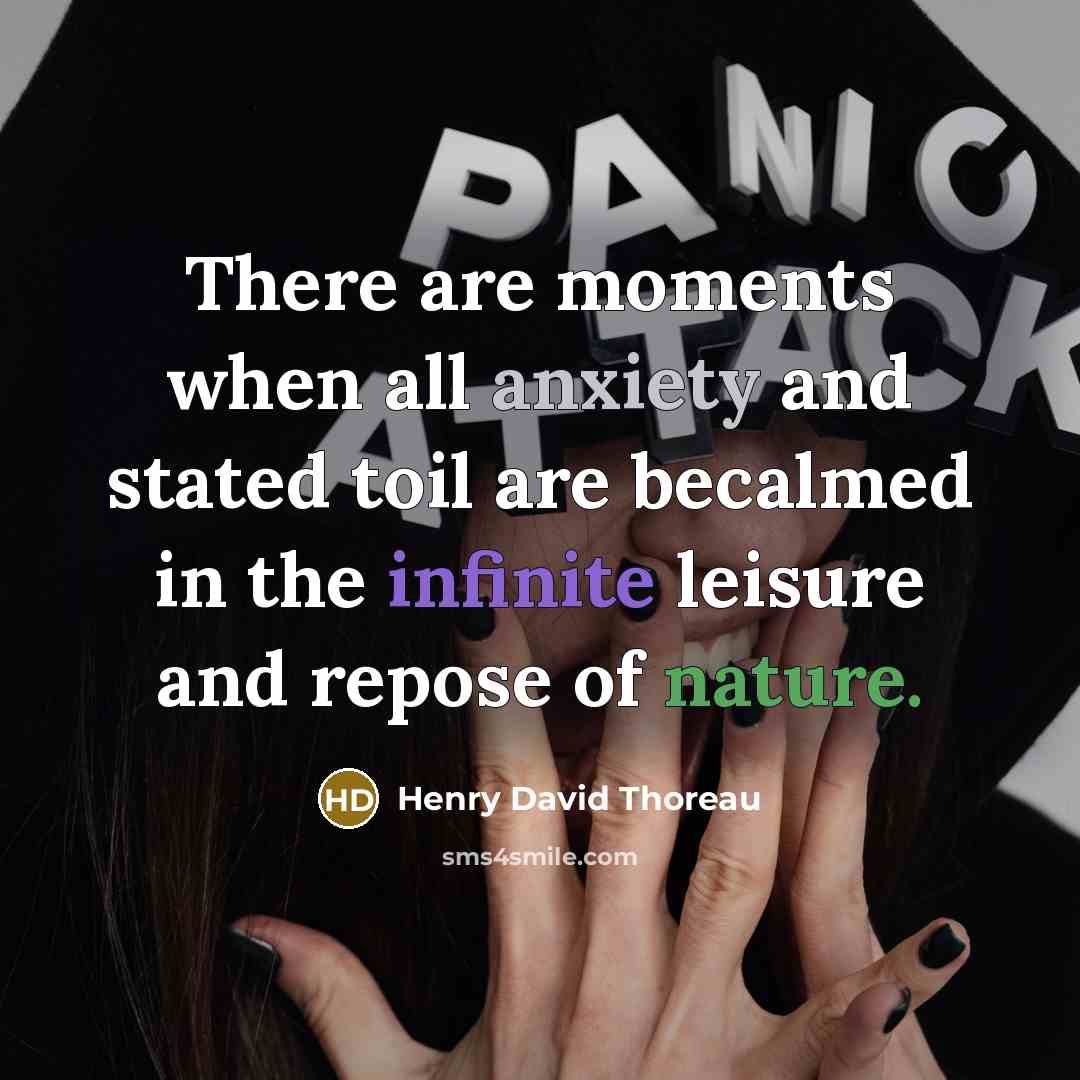 “There are moments when all anxiety and stated toil are…” quote by Henry David Thoreau