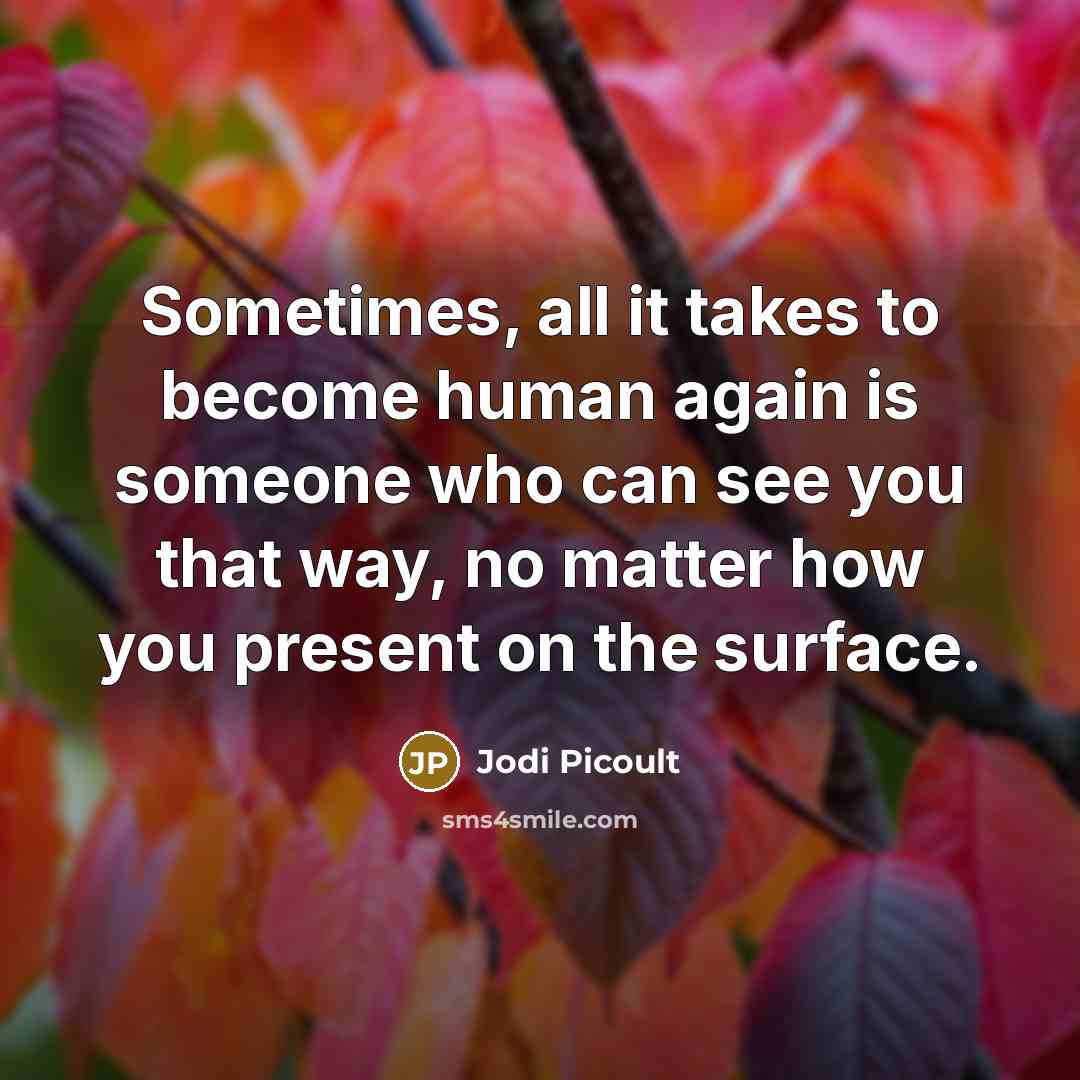 “Sometimes, all it takes to become human again is someone who can see you that way, no matter how you present on the surface.” quote by Jodi Picoult