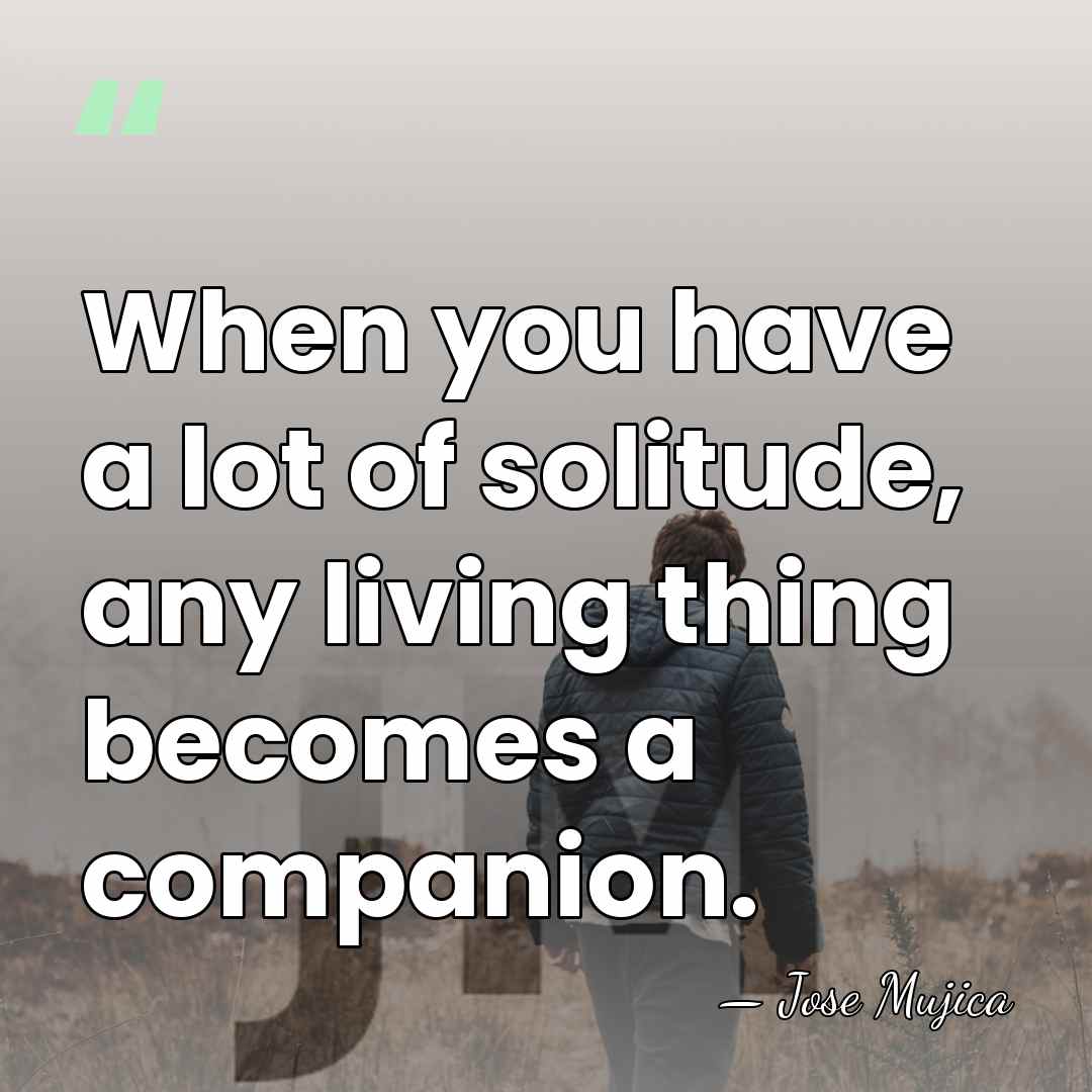 When you have a lot of solitude, any living thing becomes a&hellip; - Jose Mujica
