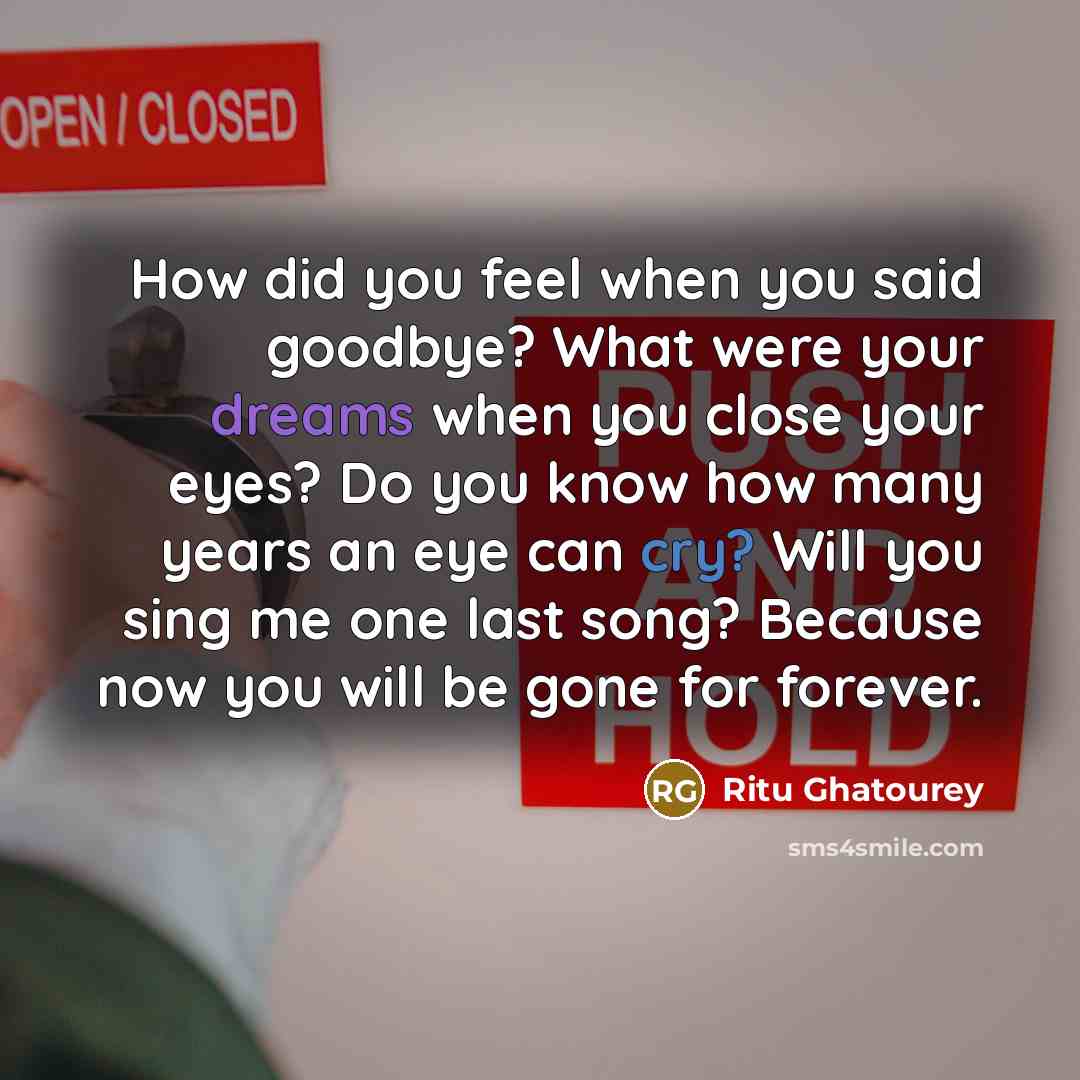 “How did you feel when you said goodbye? What were…” quote by Ritu Ghatourey