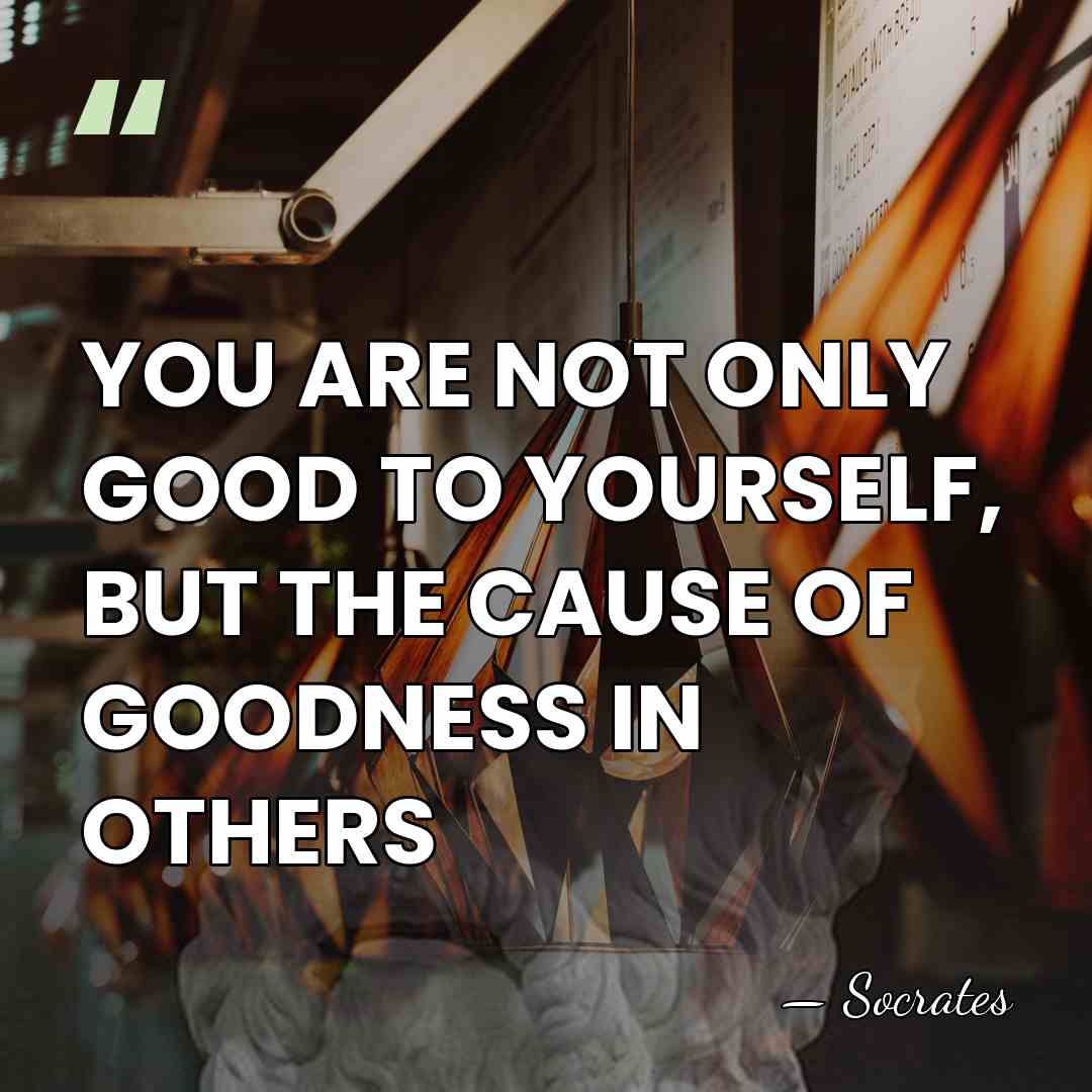 YOU ARE NOT ONLY GOOD TO YOURSELF, BUT THE CAUSE OF GOODNESS&hellip; - Socrates