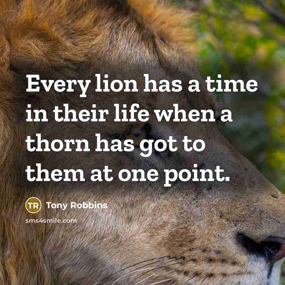 “Every lion has a time in their life when a…” quote by Tony Robbins