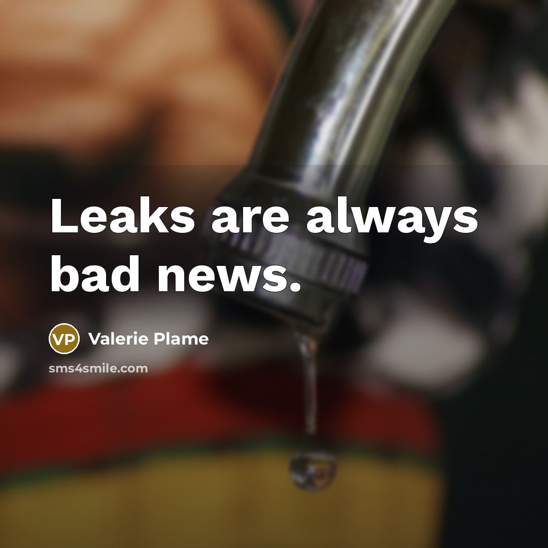 “Leaks are always bad news.…” quote by Valerie Plame