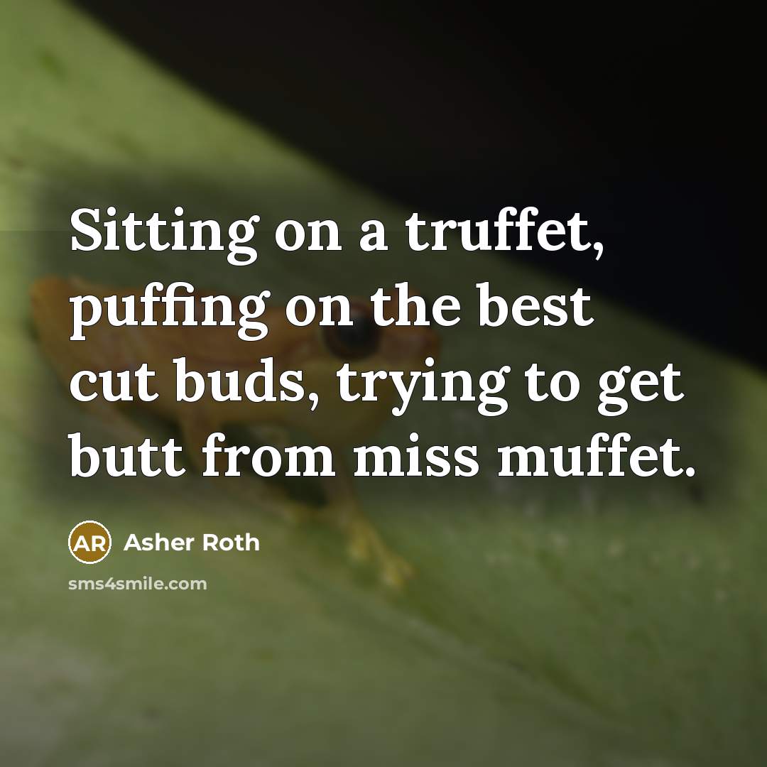 “Sitting on a truffet, puffing on the best cut buds,…” quote by Asher Roth