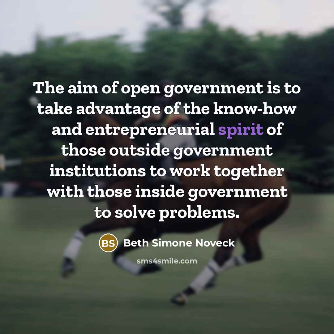 “The aim of open government is to take advantage of…” quote by Beth Simone Noveck