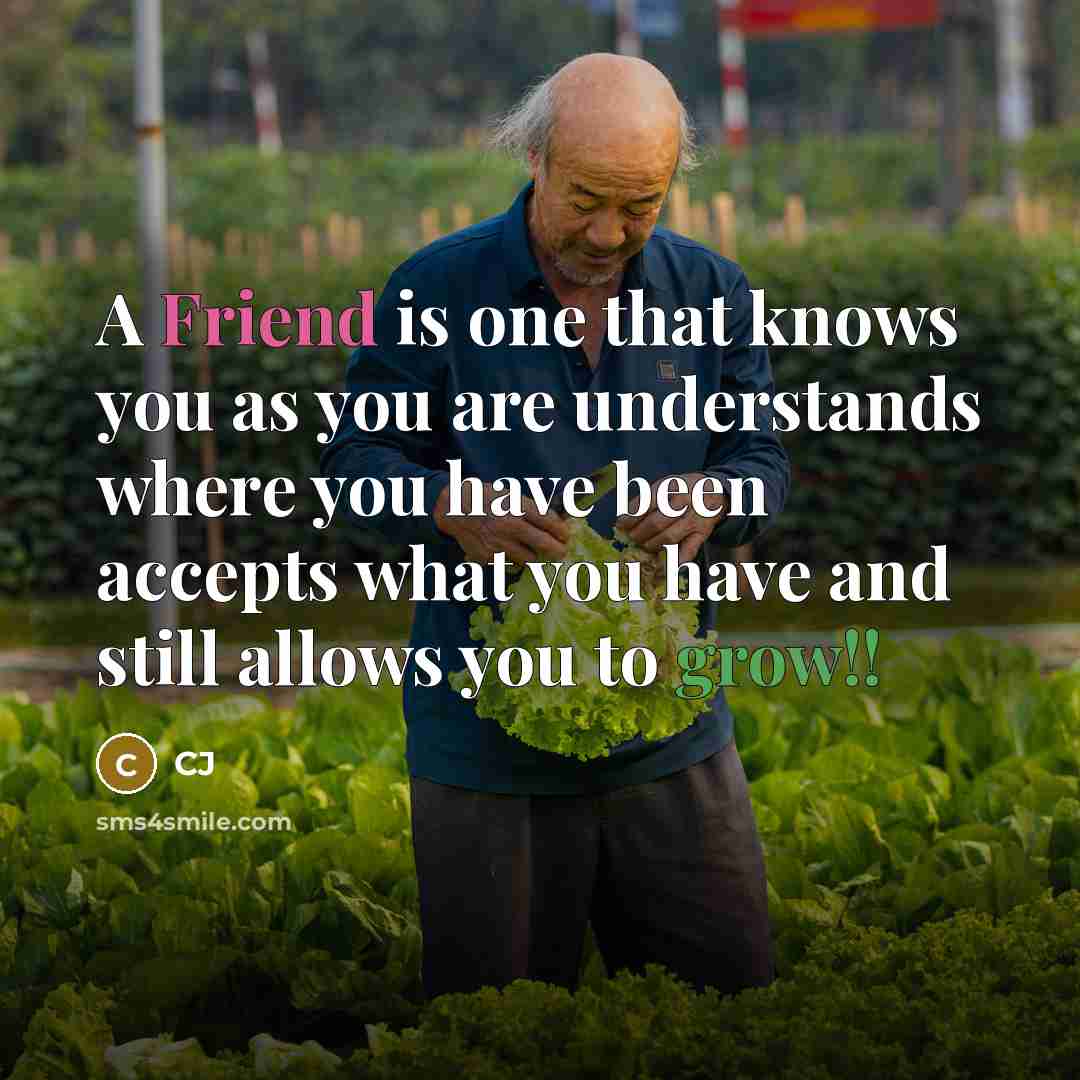 “A Friend is one that knows you as you are…” quote by CJ