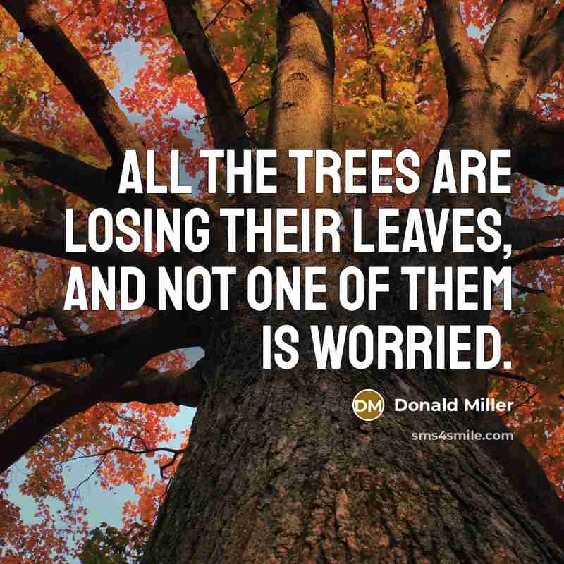 “All the trees are losing their leaves, and not one…” quote by Donald Miller