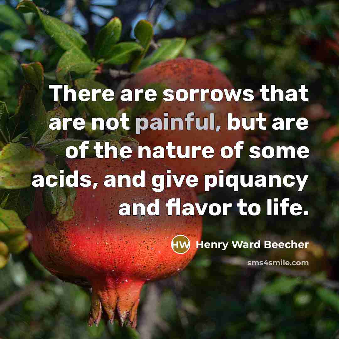 “There are sorrows that are not painful, but are of…” quote by Henry Ward Beecher