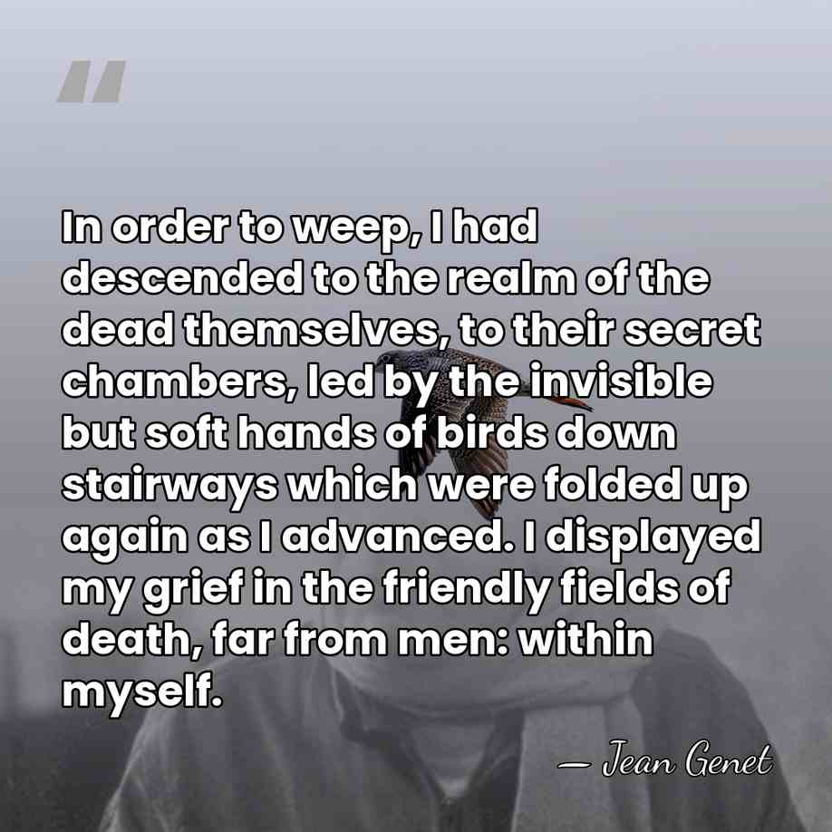 In order to weep, I had descended to the realm of the&hellip; - Jean Genet