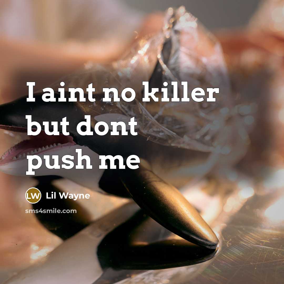“I aint no killer but dont push me…” quote by Lil Wayne