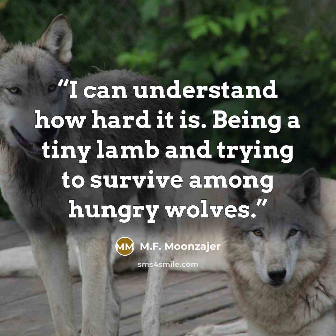 “I can understand how hard it is. Being a tiny lamb and trying to survive among hungry wolves.” quote by M.F. Moonzajer