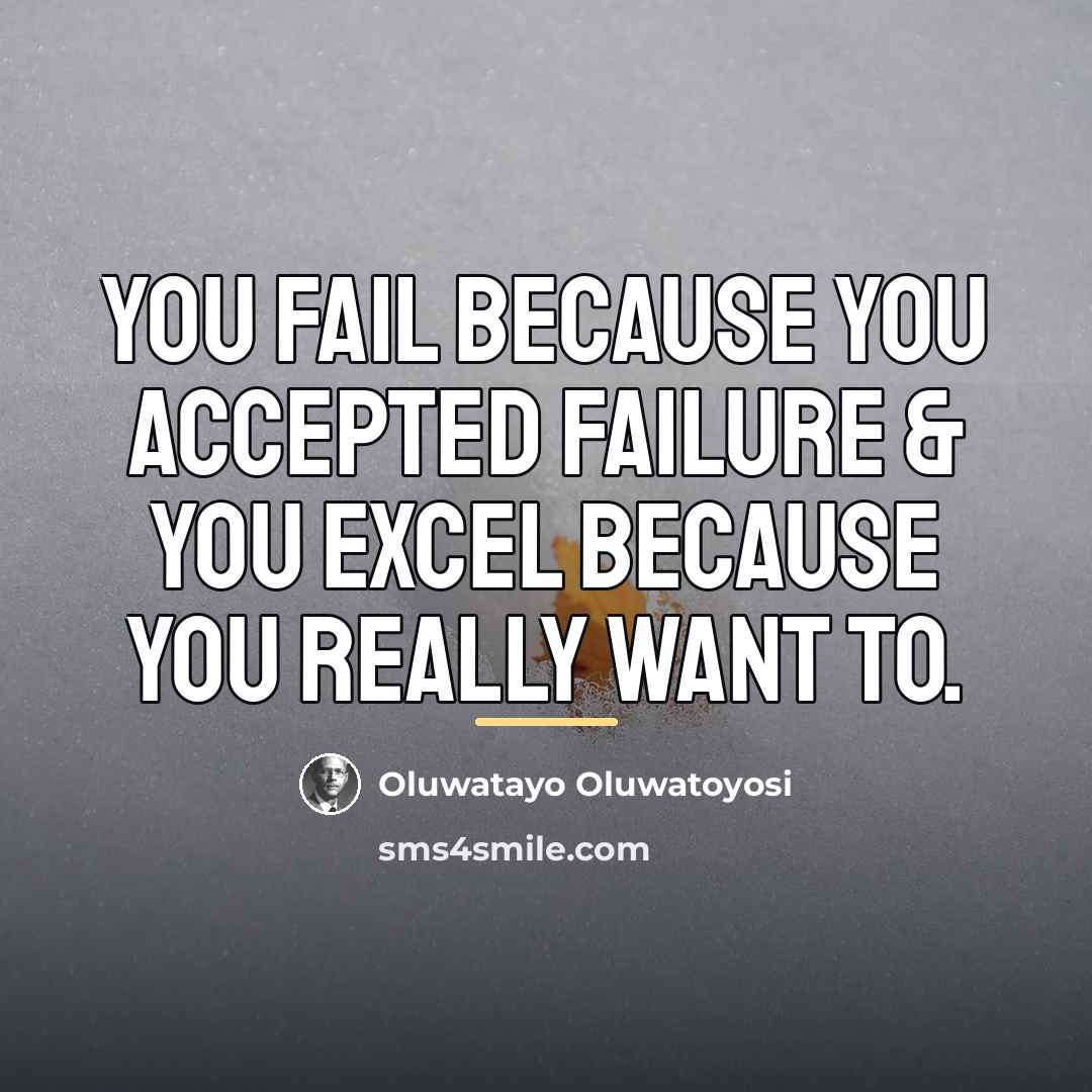 “You fail because you accepted failure & you excel because…” quote by Oluwatayo Oluwatoyosi