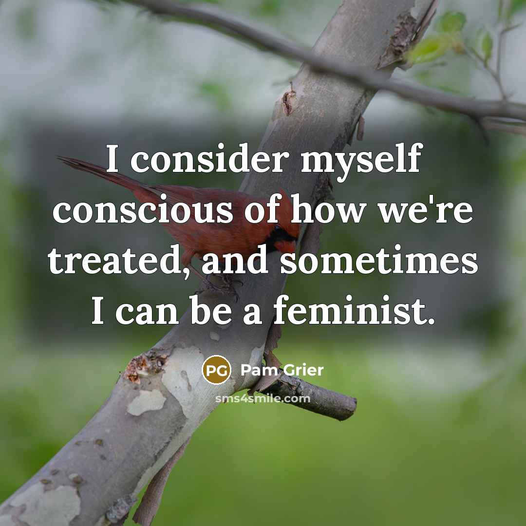 “I consider myself conscious of how we're treated, and sometimes…” quote by Pam Grier