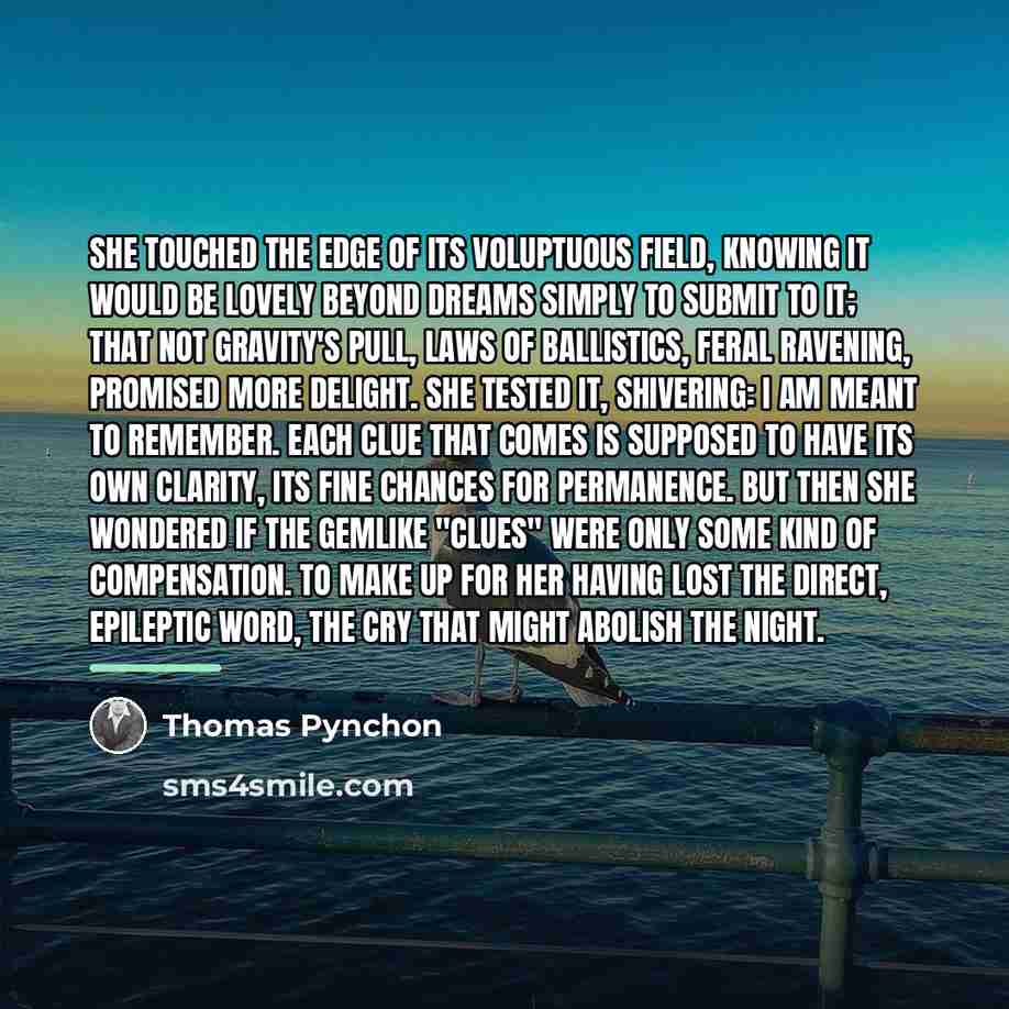 “She touched the edge of its voluptuous field, knowing it…” quote by Thomas Pynchon