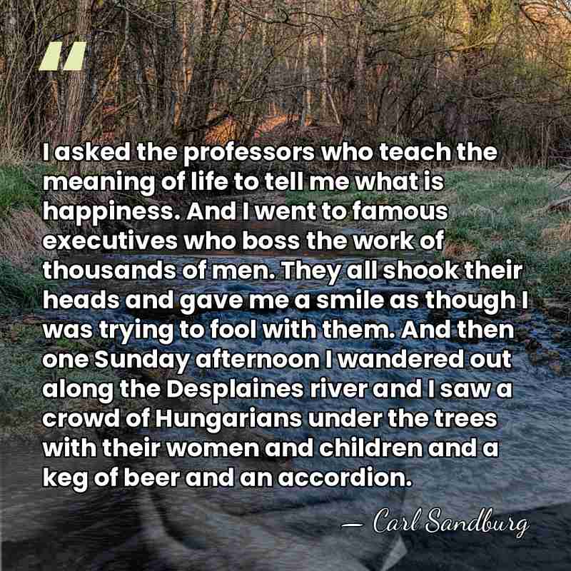 I asked the professors who teach the meaning of life to tell&hellip; - Carl Sandburg