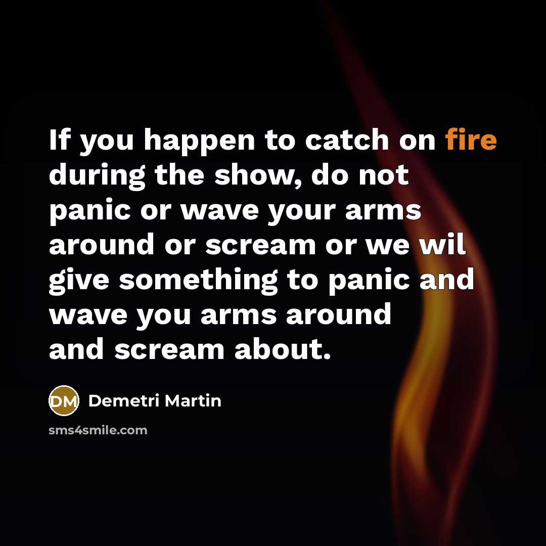 “If you happen to catch on fire during the show,…” quote by Demetri Martin