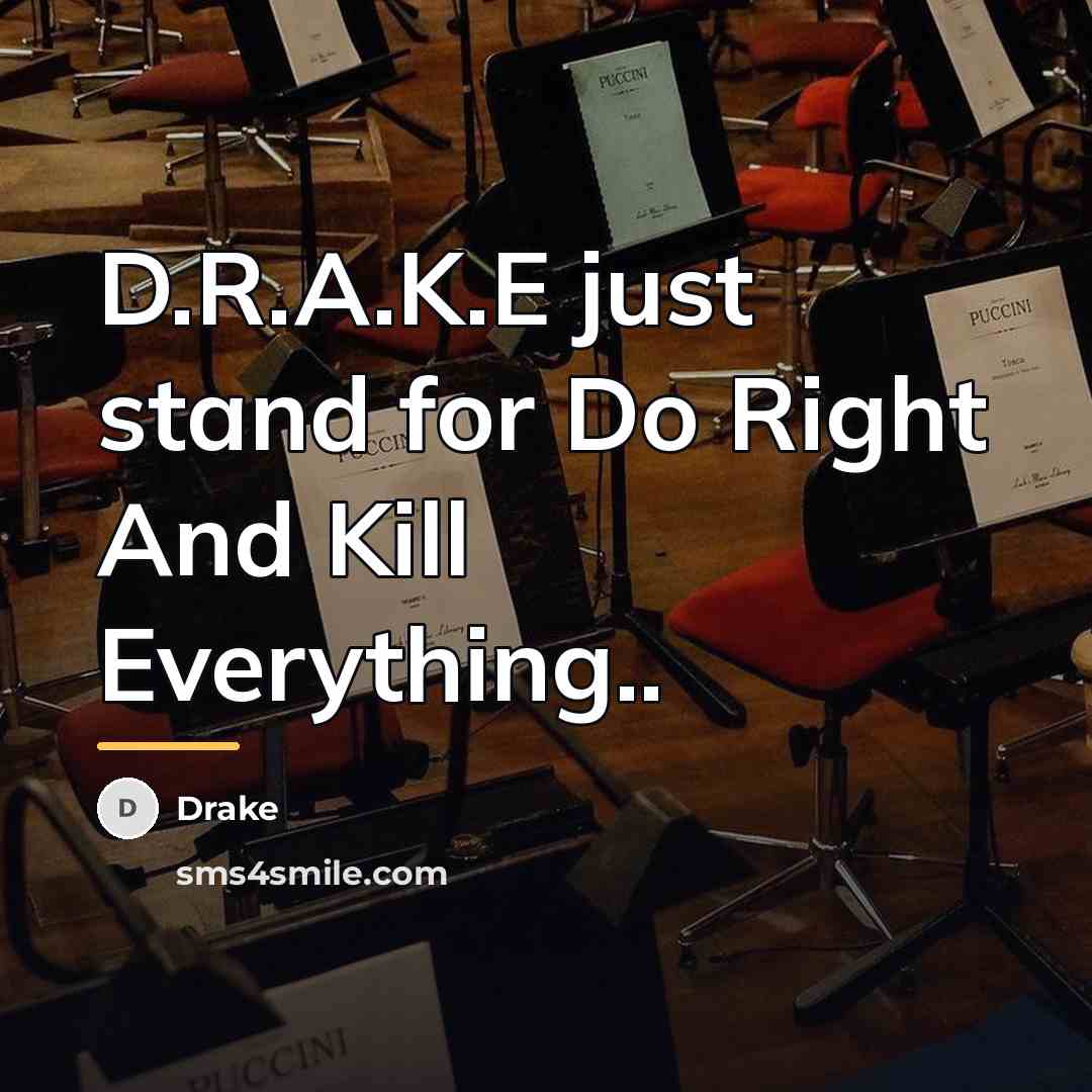 “D.R.A.K.E just stand for Do Right And Kill Everything..…” quote by DRAKE