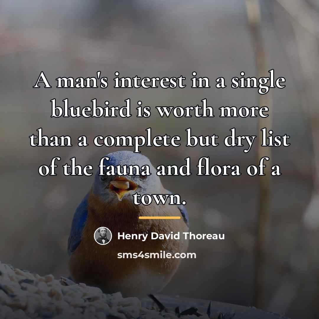 “A man's interest in a single bluebird is worth more…” quote by Henry David Thoreau