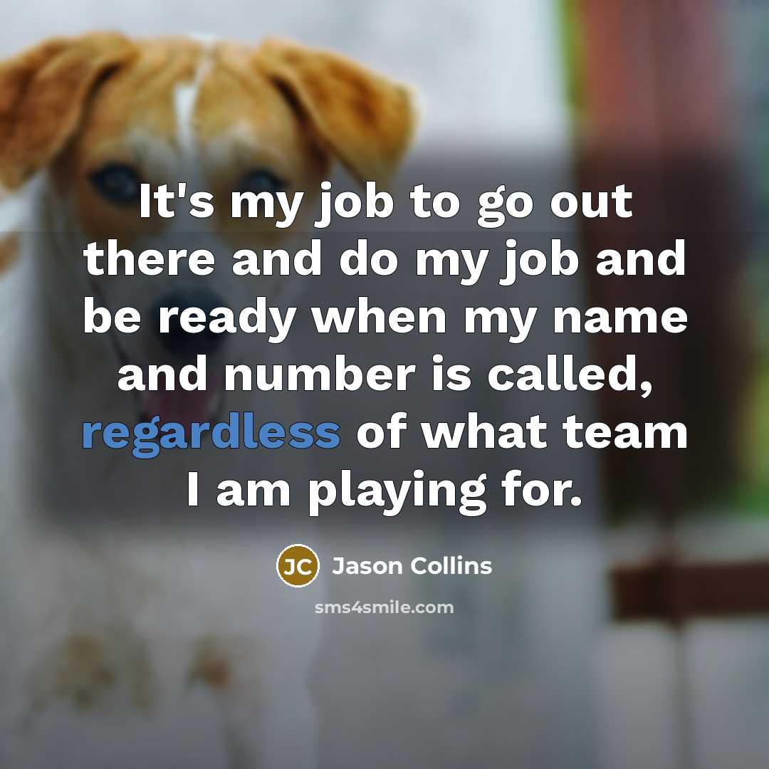 “It's my job to go out there and do my job and be ready when my name and number is called, regardless of what team I am playing for.” quote by Jason Collins