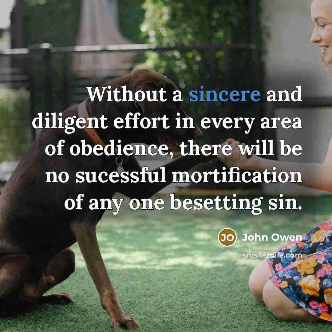 “Without a sincere and diligent effort in every area of…” quote by John Owen