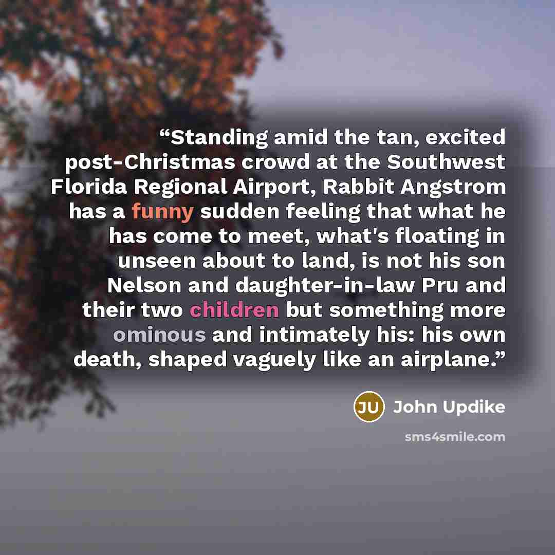 “Standing amid the tan, excited post-Christmas crowd at the Southwest Florida Regional Airport, Rabbit Angstrom has a funny sudden feeling that what he has come to meet, what's floating in unseen about to land, is not his son Nelson and daughter-in-law Pru and their two children but something more…” quote by John Updike