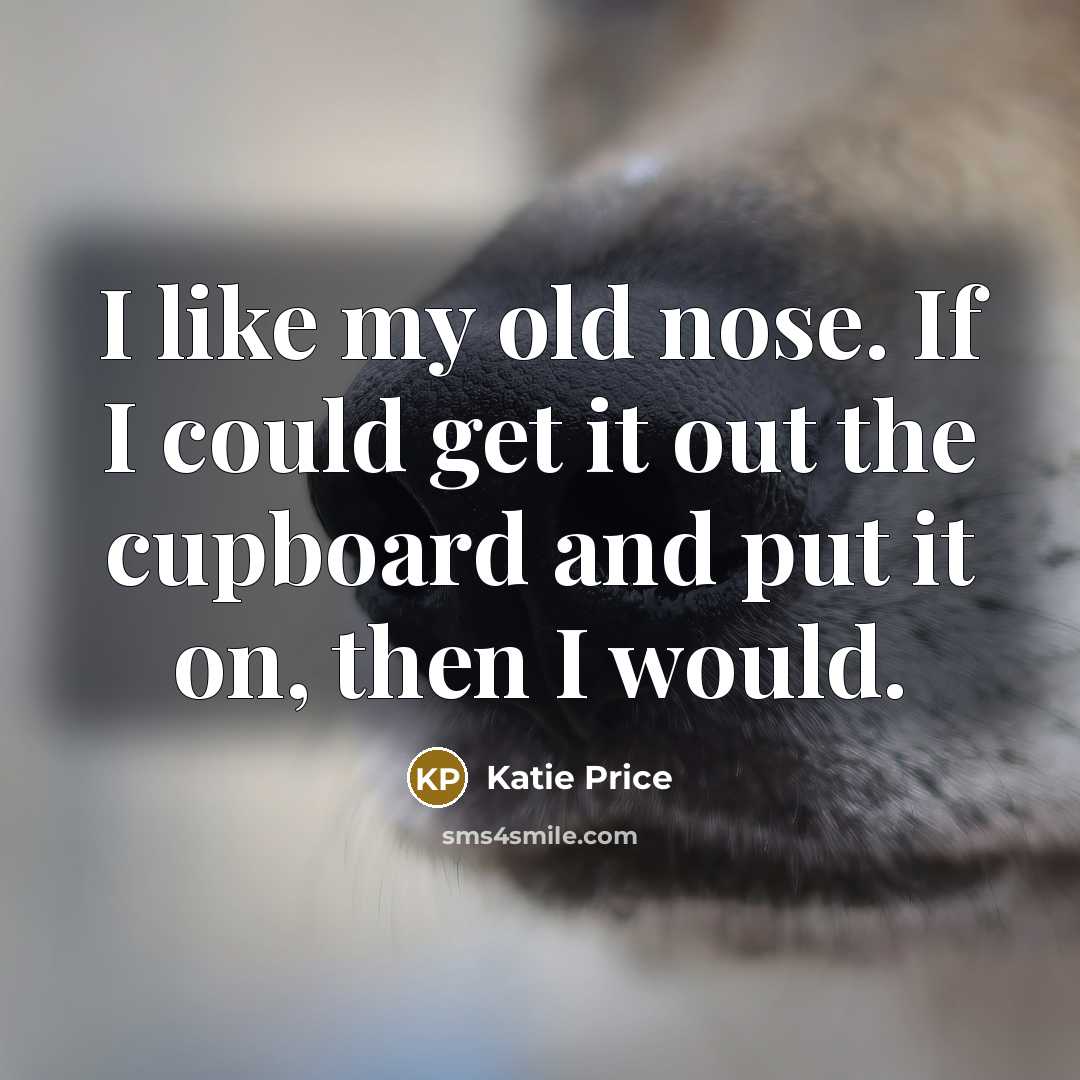 “I like my old nose. If I could get it…” quote by Katie Price