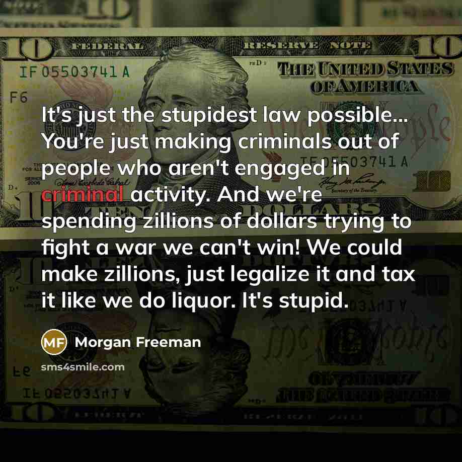 “It's just the stupidest law possible... You're just making criminals…” quote by Morgan Freeman