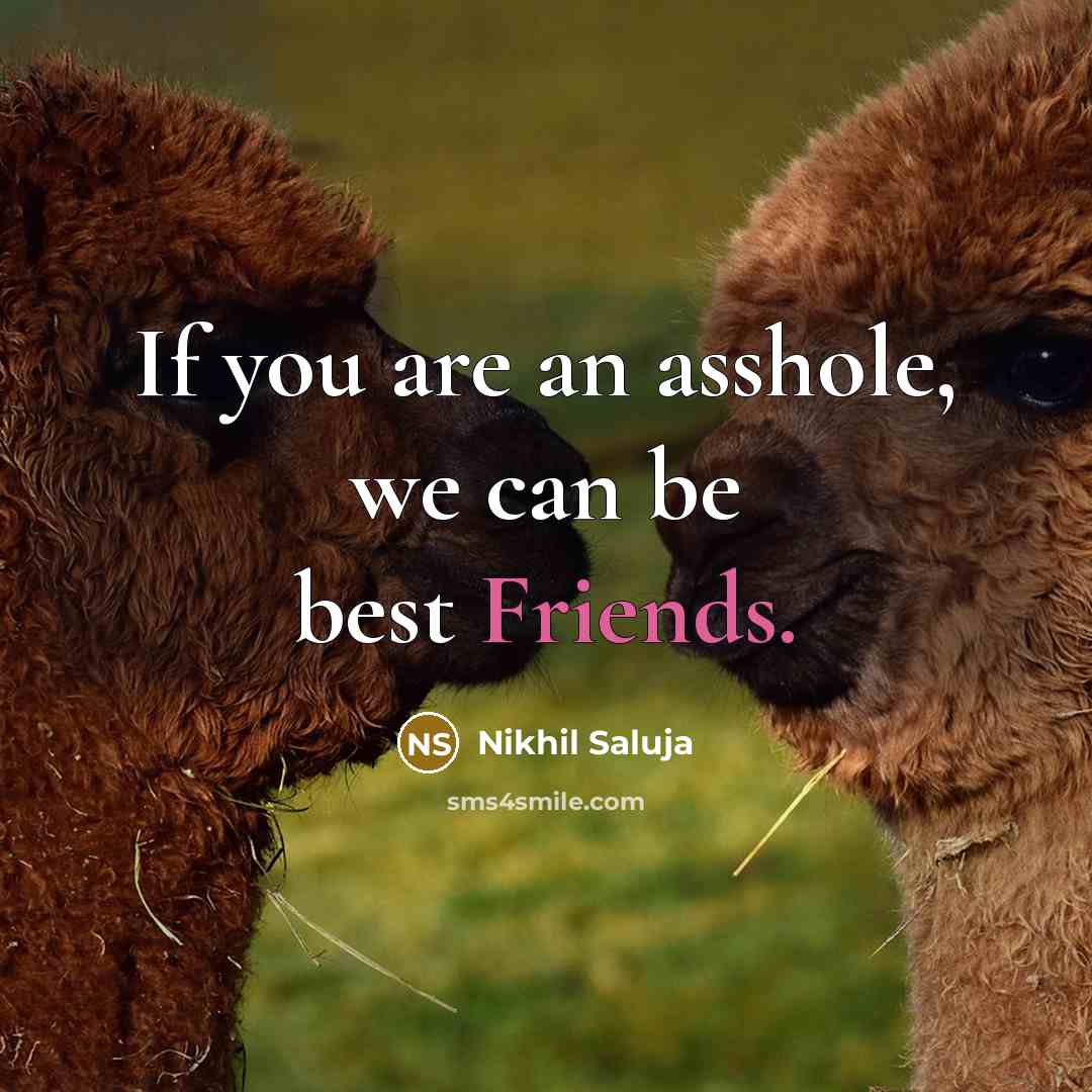 “If you are an asshole, we can be best Friends.” quote by Nikhil Saluja