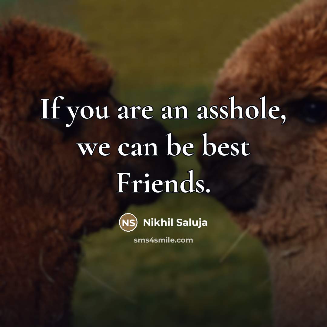 “If you are an asshole, we can be best Friends.…” quote by Nikhil Saluja