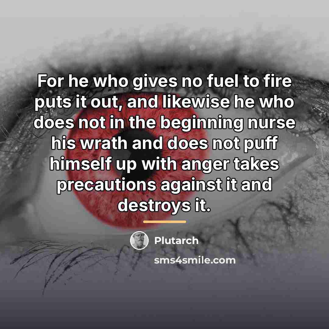 “For he who gives no fuel to fire puts it…” quote by Plutarch