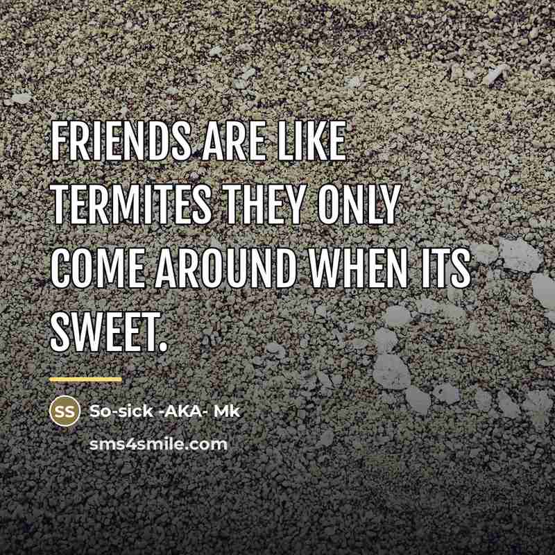“Friends are like termites they only come around when its…” quote by So-sick -AKA- Mk