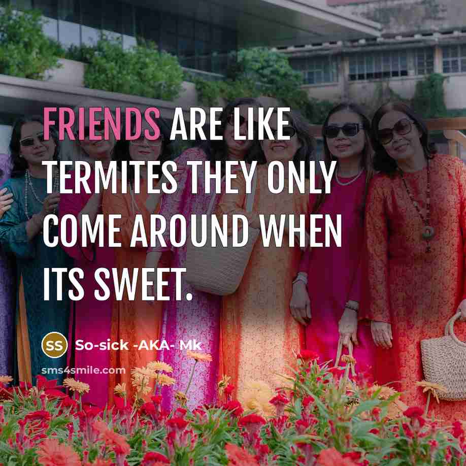 “Friends are like termites they only come around when its sweet.” quote by So-sick -AKA- Mk