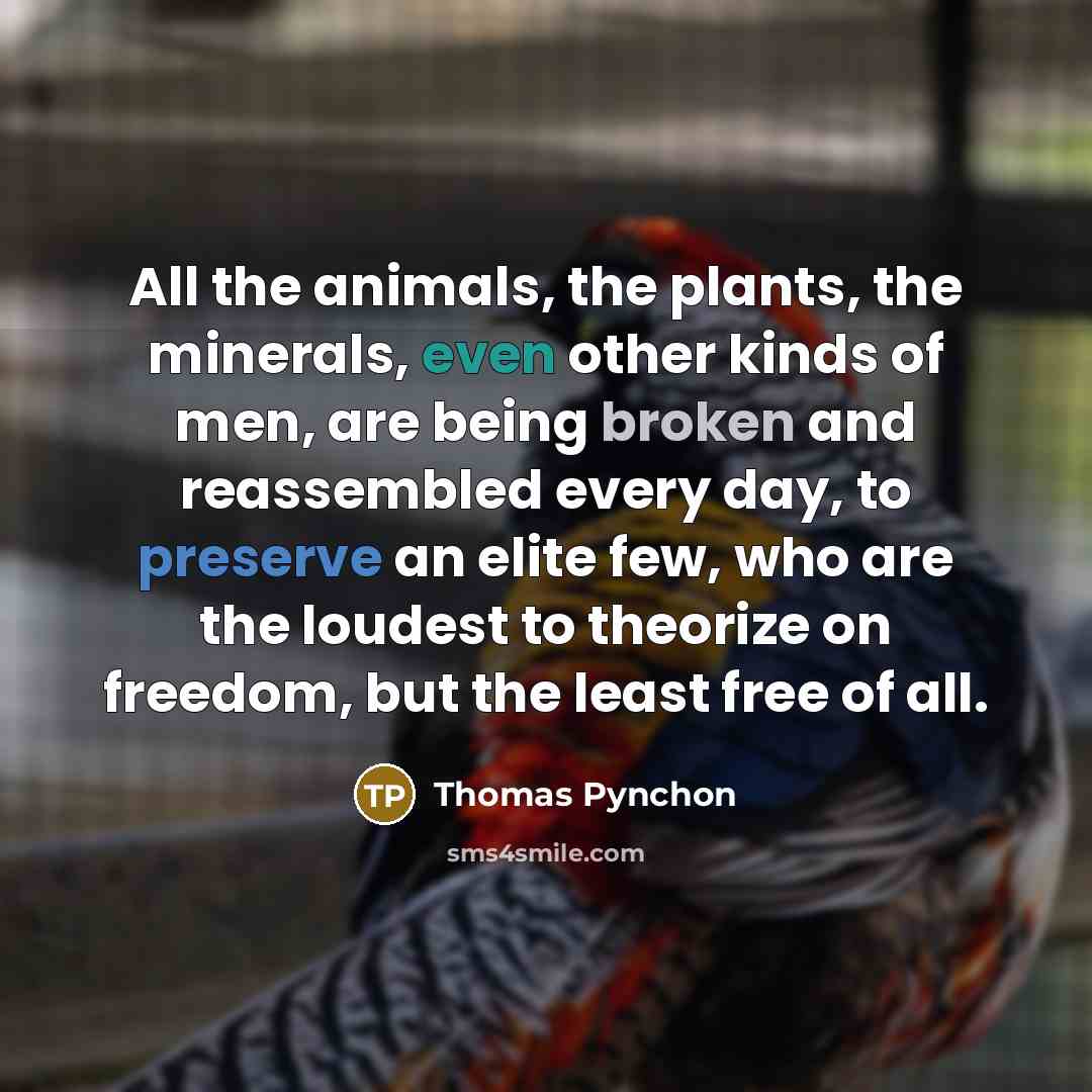 “All the animals, the plants, the minerals, even other kinds…” quote by Thomas Pynchon