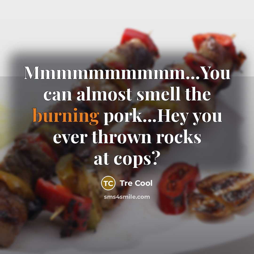 “Mmmmmmmmmm…You can almost smell the burning pork...Hey you ever thrown rocks at cops?” quote by Tre Cool