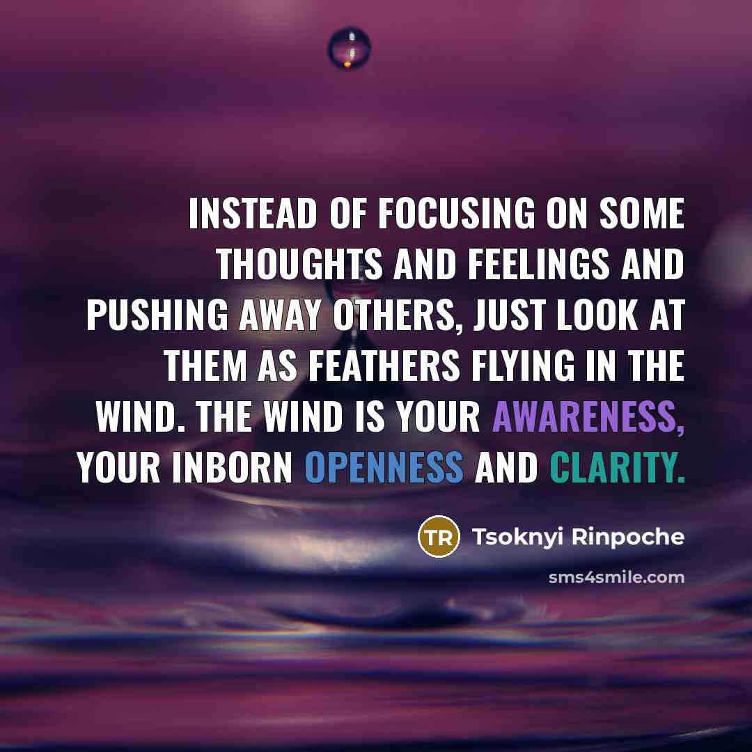 “Instead of focusing on some thoughts and feelings and pushing…” quote by Tsoknyi Rinpoche