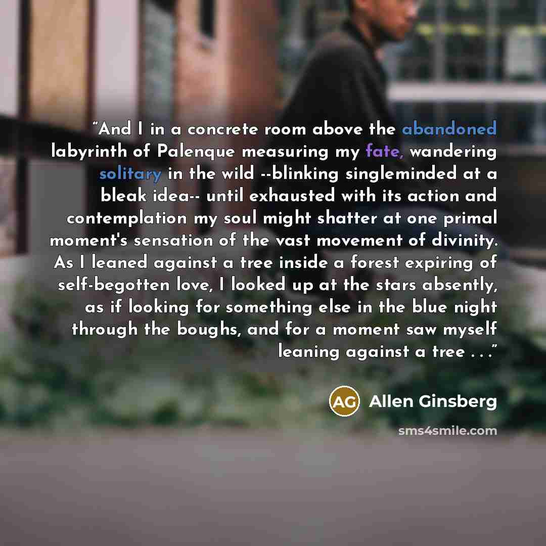 “And I in a concrete room above the abandoned labyrinth of Palenque measuring my fate, wandering solitary in the wild --blinking singleminded at a bleak idea-- until exhausted with its action and contemplation my soul might shatter at one primal moment's sensation of the vast movement of divinity…” quote by Allen Ginsberg
