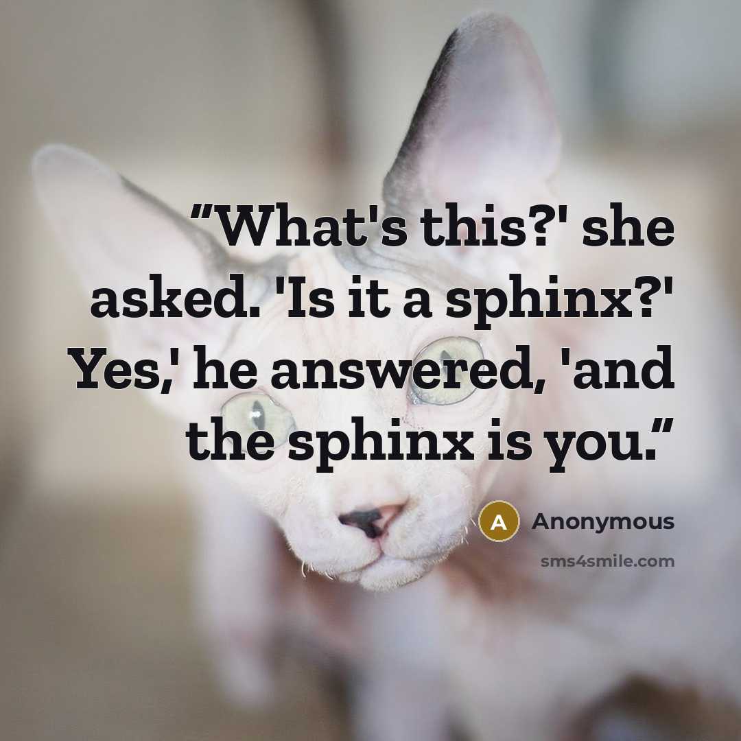 “What's this?' she asked. 'Is it a sphinx?' Yes,' he answered, 'and the sphinx is you.” quote by Anonymous