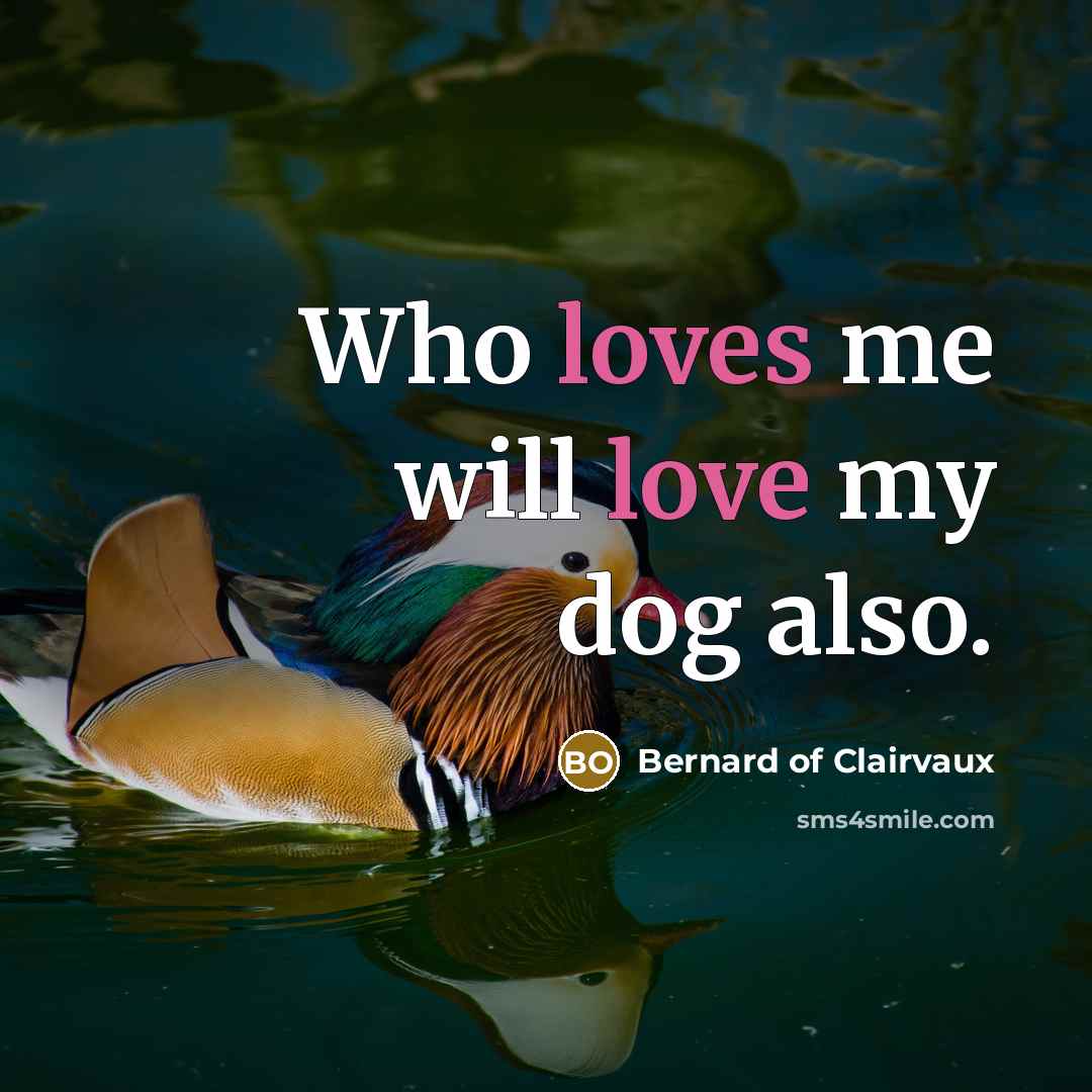 “Who loves me will love my dog also.…” quote by Bernard of Clairvaux