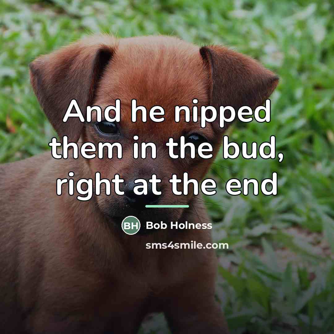 “And he nipped them in the bud, right at the…” quote by Bob Holness