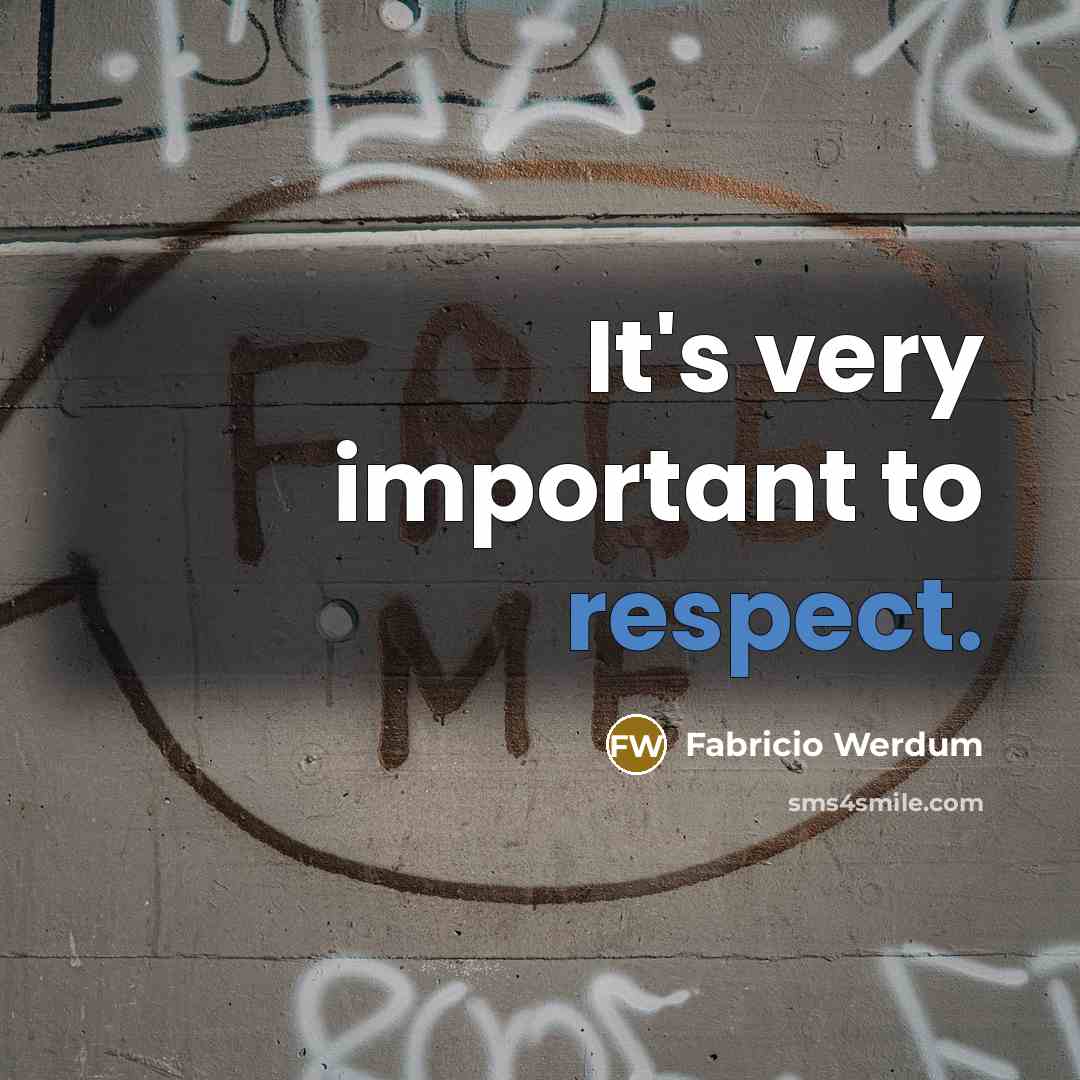 “It's very important to respect.…” quote by Fabricio Werdum