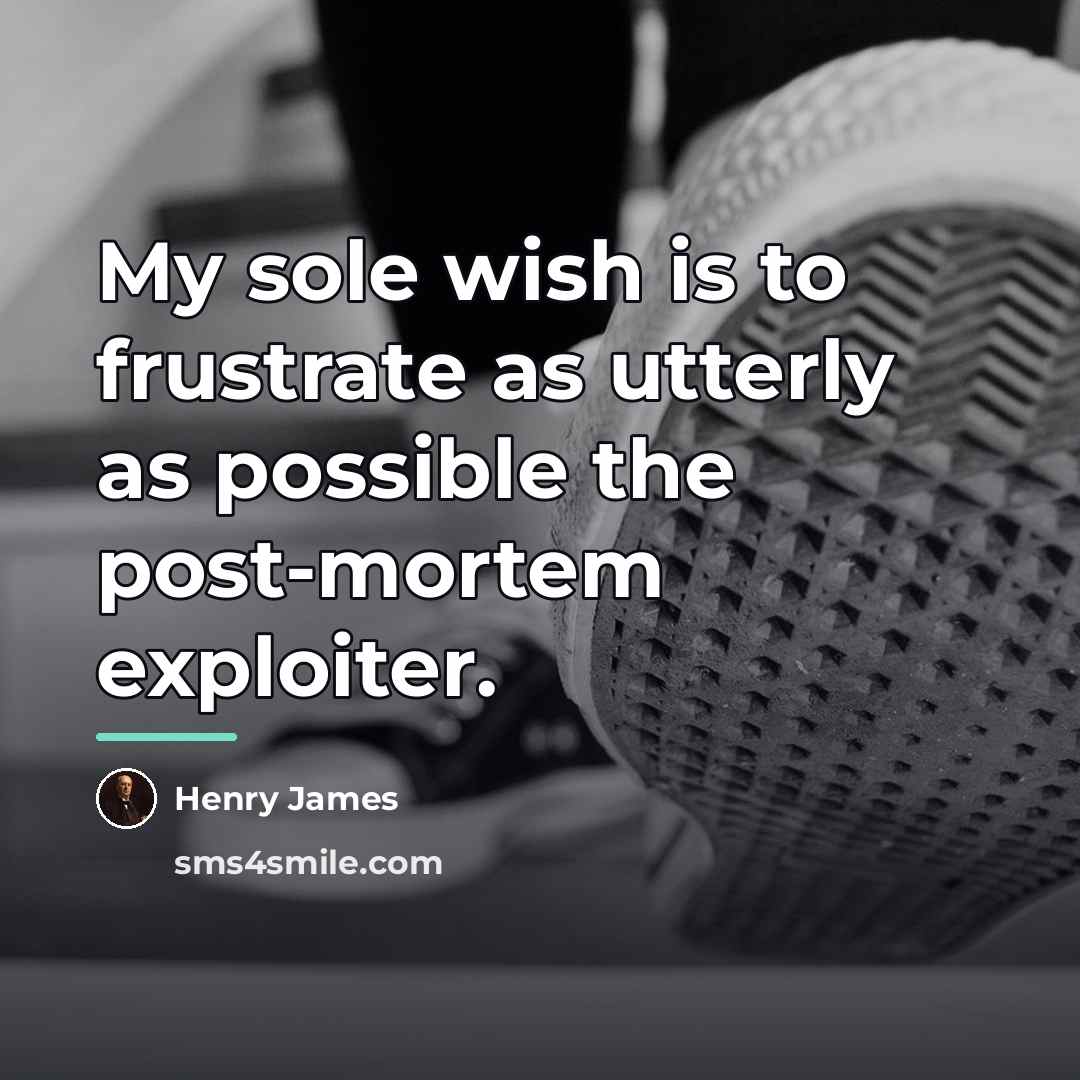 “My sole wish is to frustrate as utterly as possible…” quote by Henry James