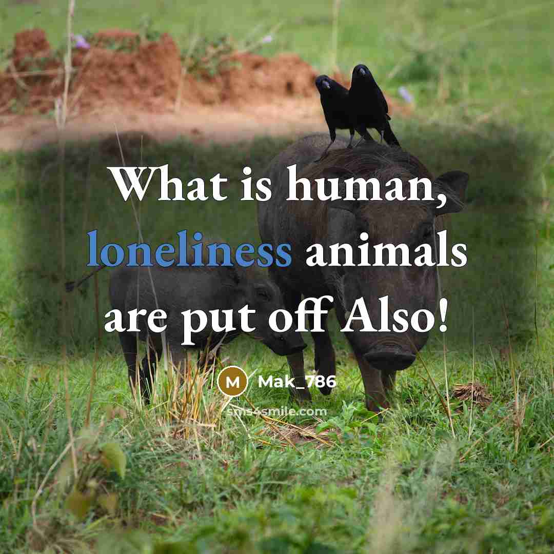 “What is human, loneliness animals are put off Also!…” quote by Mak_786