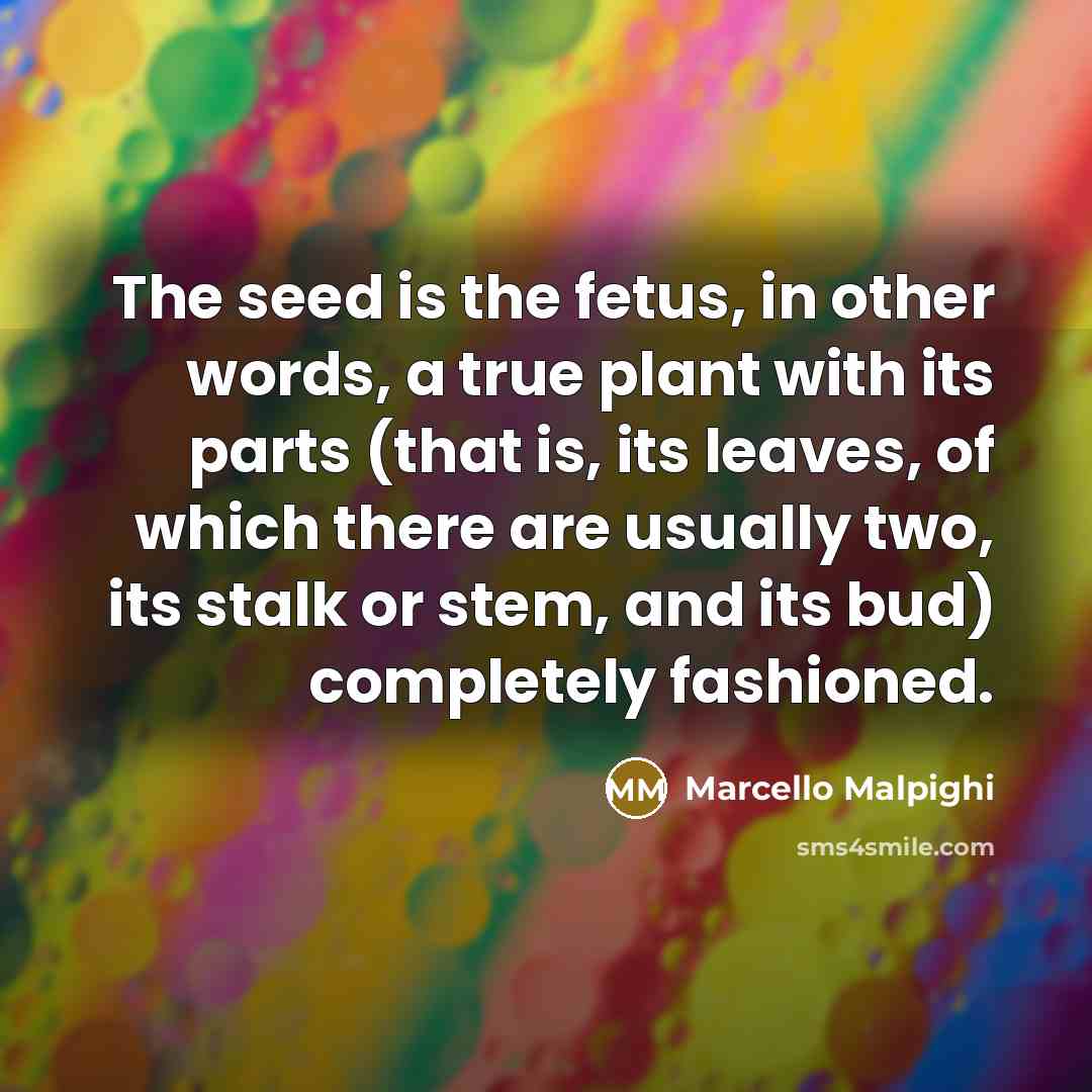 “The seed is the fetus, in other words, a true…” quote by Marcello Malpighi
