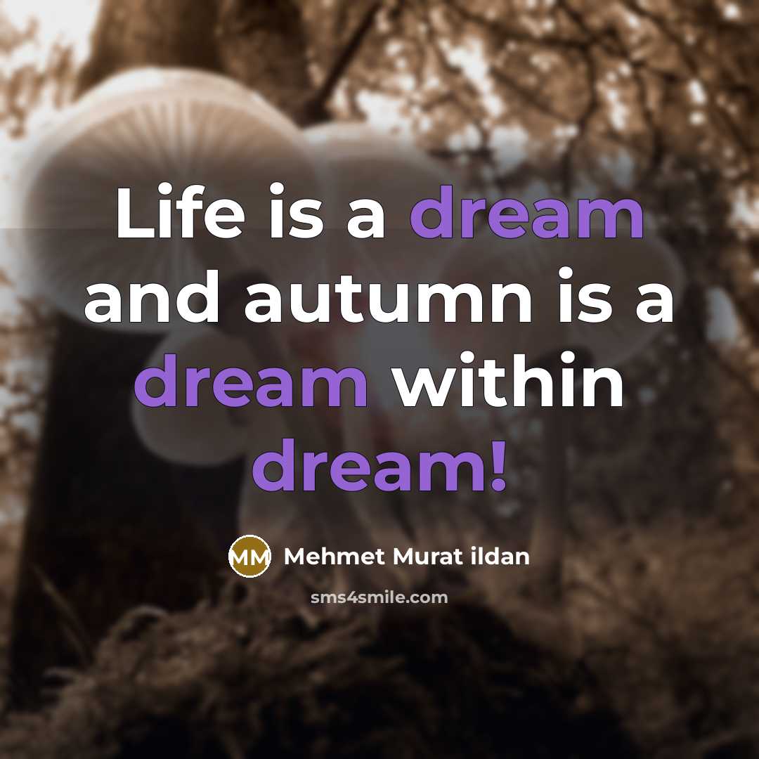 “Life is a dream and autumn is a dream within…” quote by Mehmet Murat Ildan