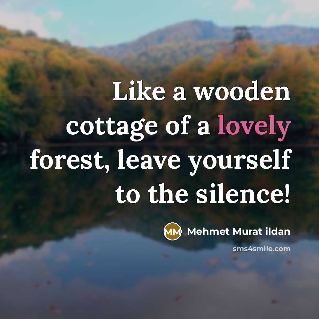 “Like a wooden cottage of a lovely forest, leave yourself…” quote by Mehmet Murat Ildan