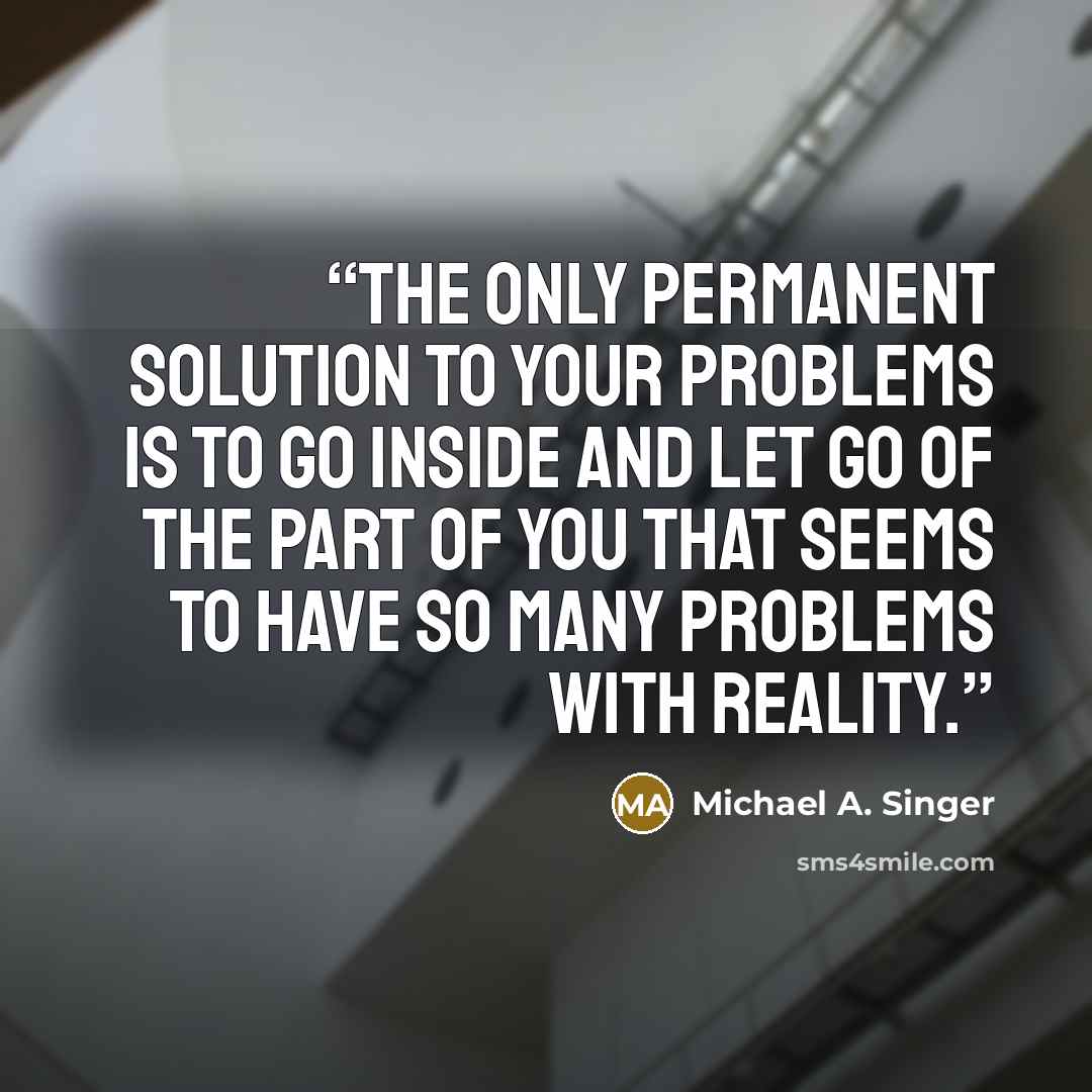 “The only permanent solution to your problems is to go inside and let go of the part of you that seems to have so many problems with reality.” quote by Michael A. Singer