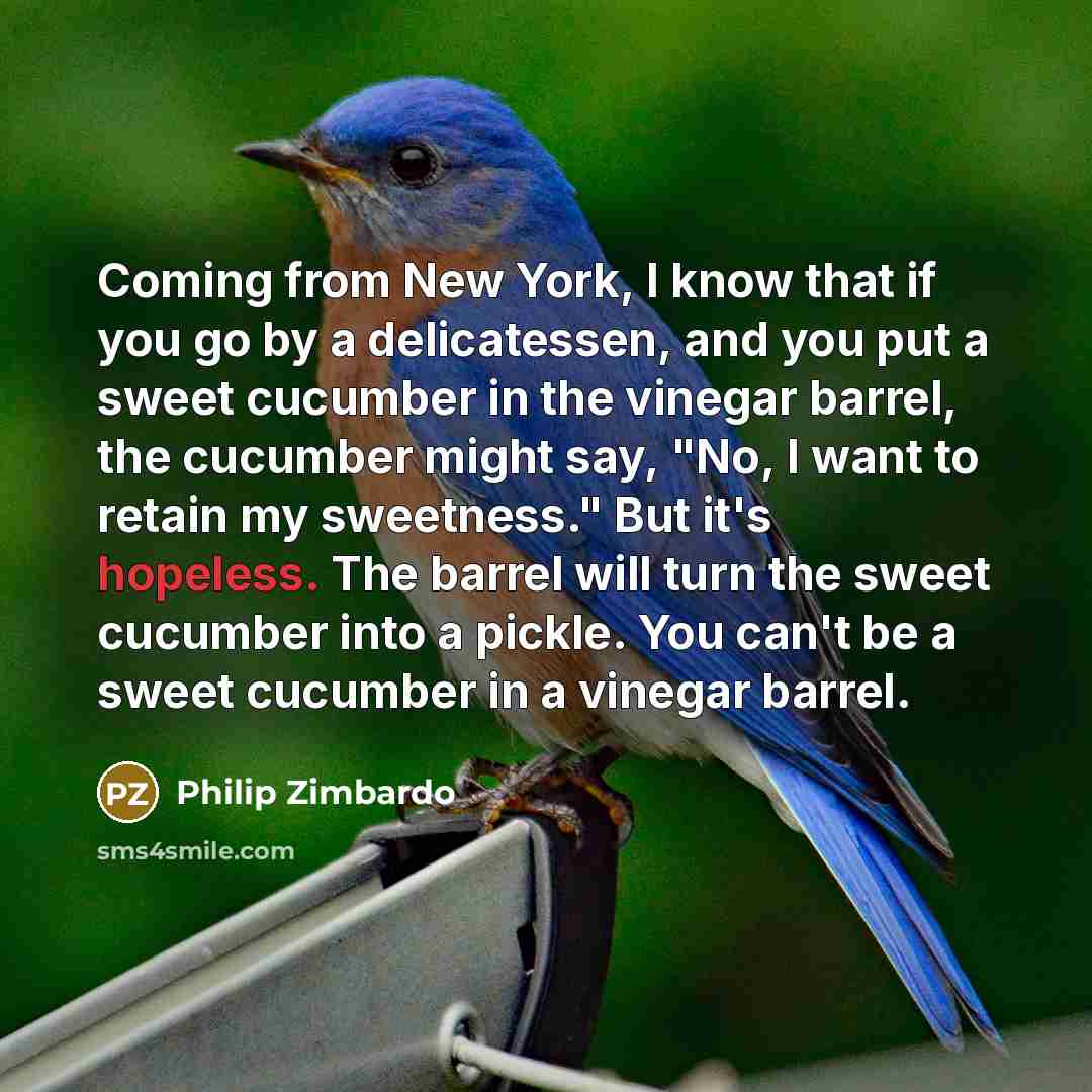 “Coming from New York, I know that if you go…” quote by Philip Zimbardo