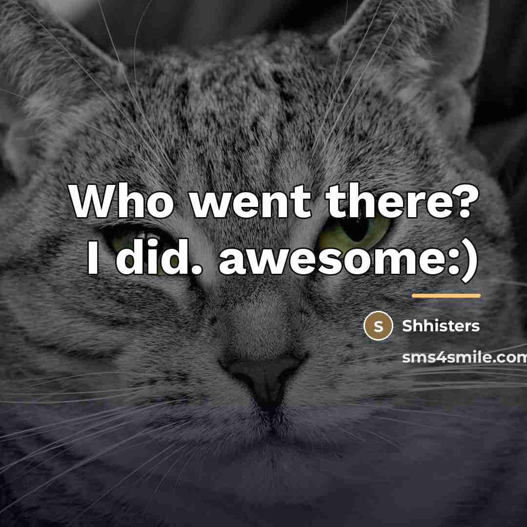 “Who went there? I did. awesome:)…” quote by Shhisters