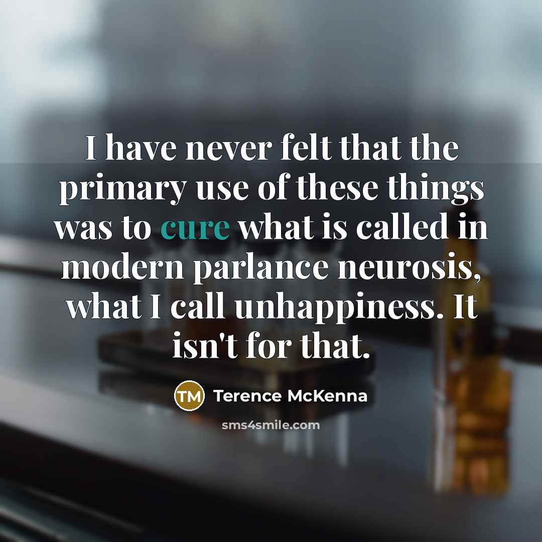 “I have never felt that the primary use of these…” quote by Terence McKenna